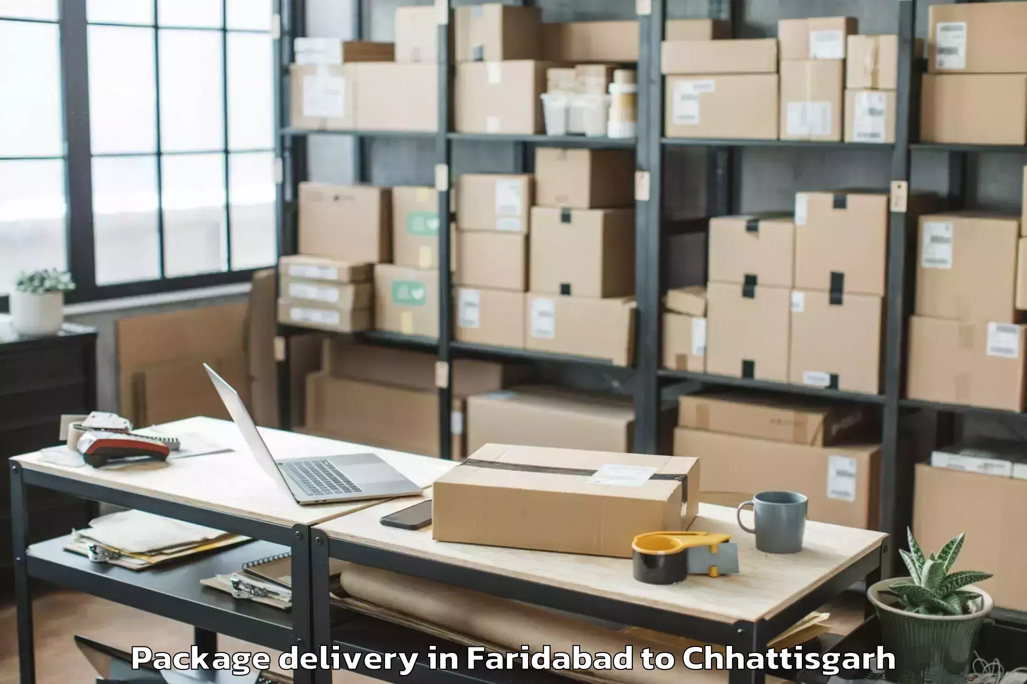 Professional Faridabad to Dantewada Package Delivery